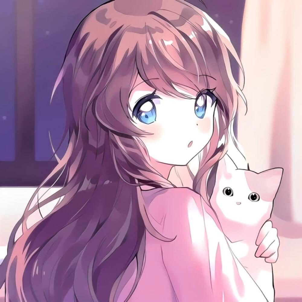 晓君动漫日记
