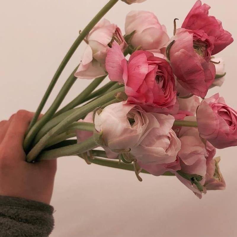 一笑花奈何