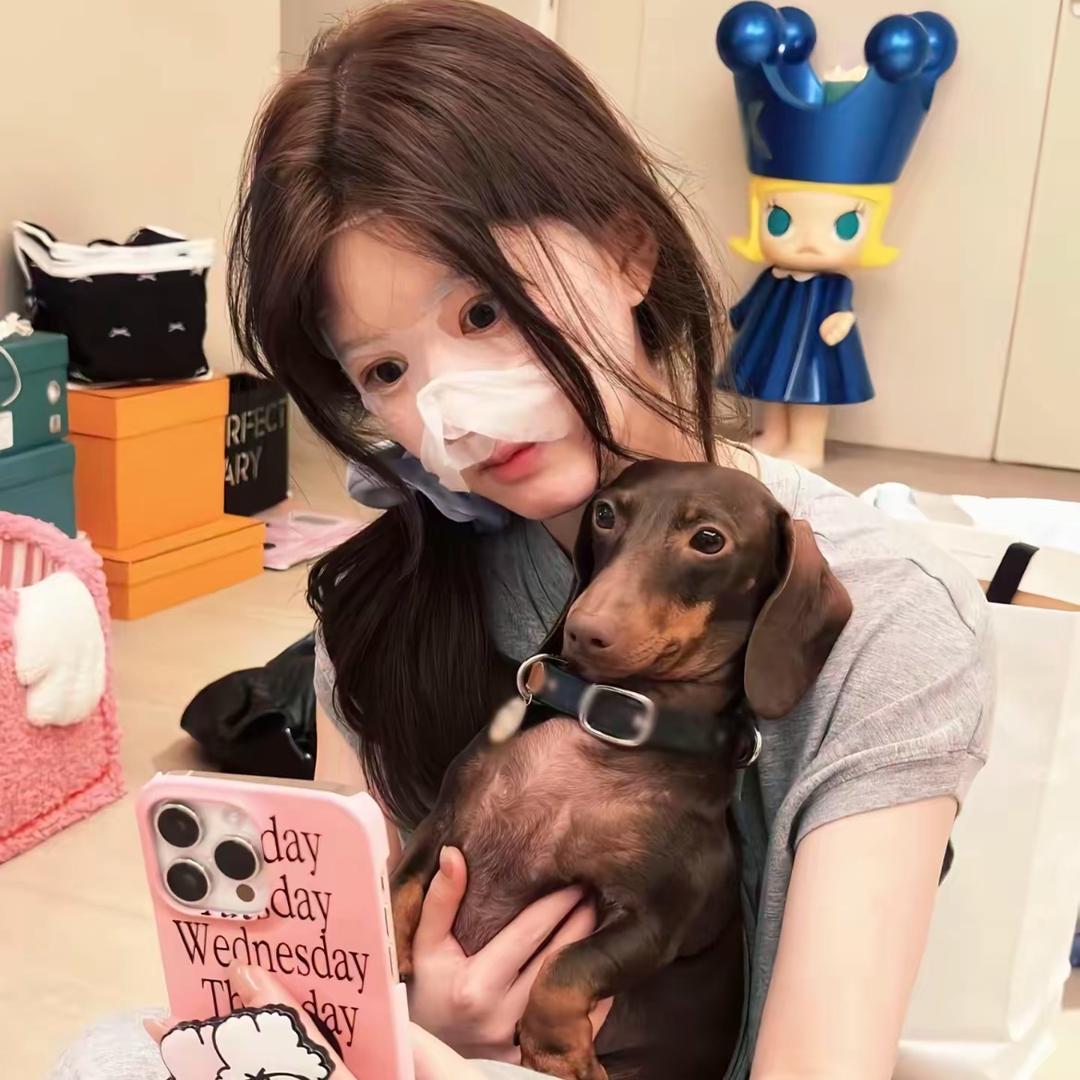 前任出诡我送仐