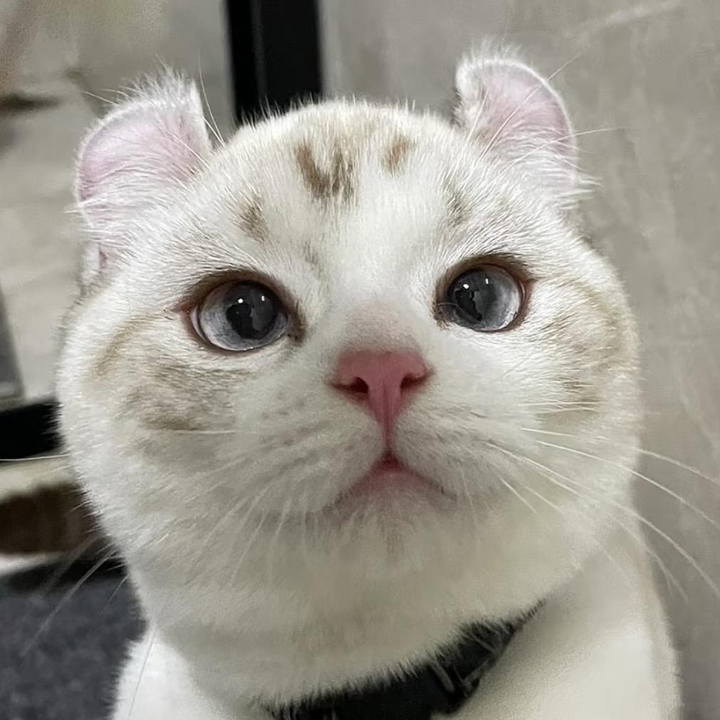 南南