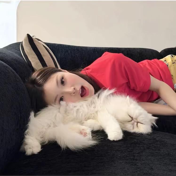 睡眠羊💤