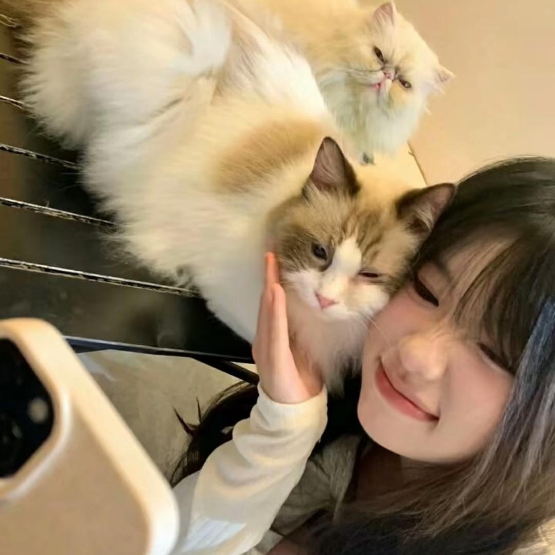 吃饭打呼噜