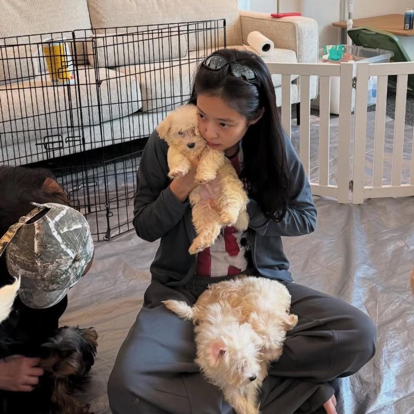 修白(见过林接接三次版)