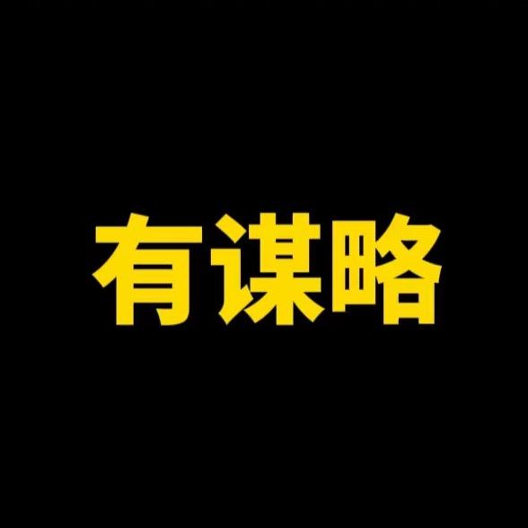 有谋略