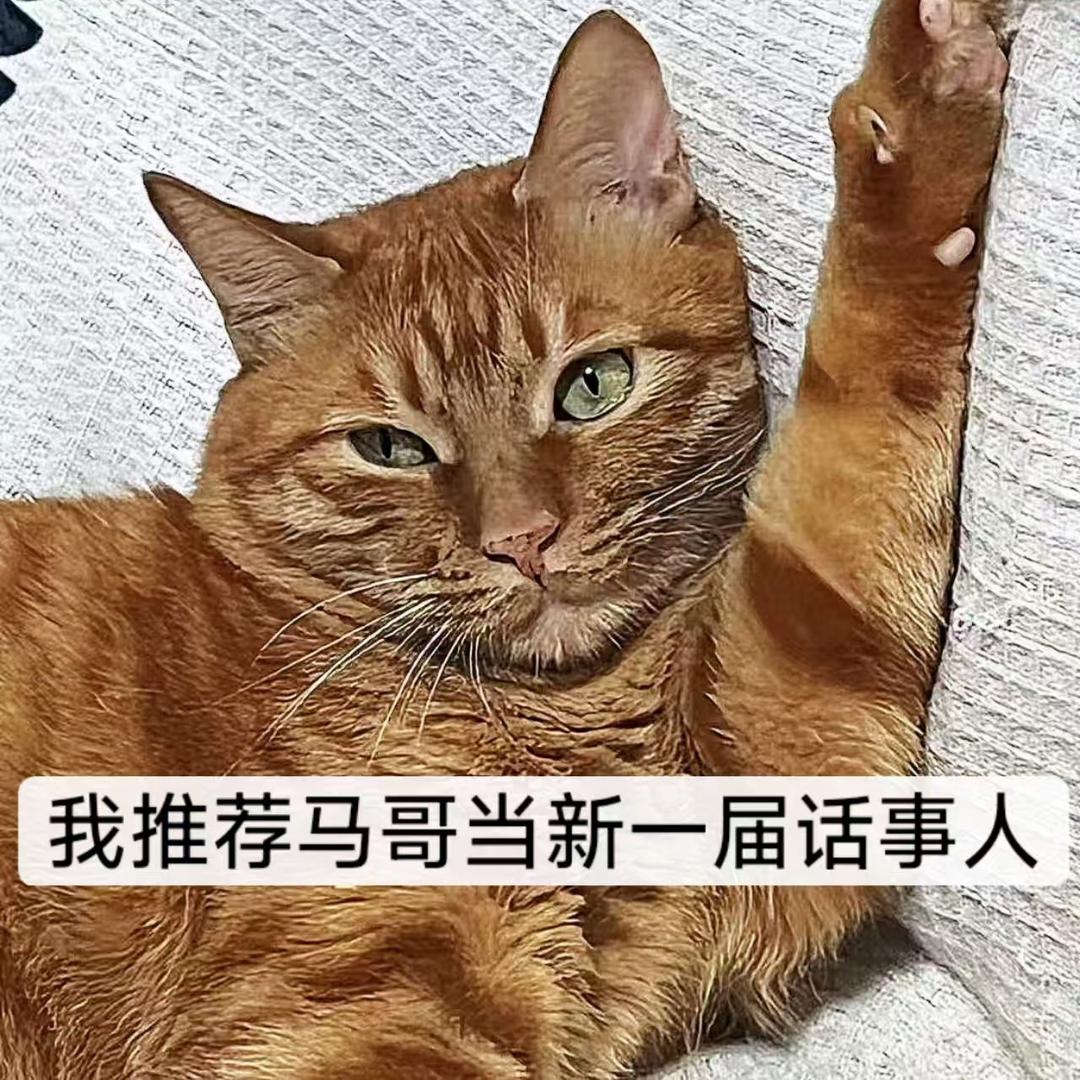 或许你会喜欢小马吧！