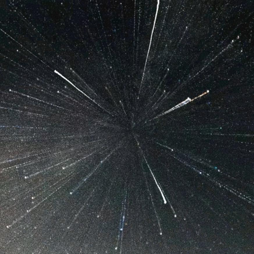 道理我都董女士