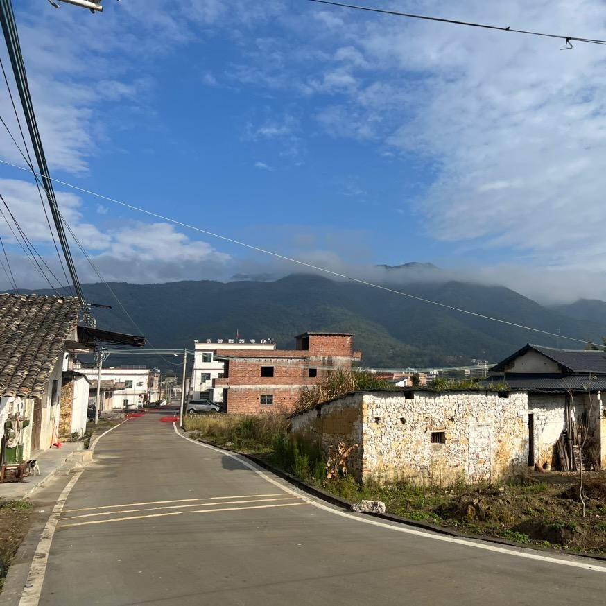 崔歌