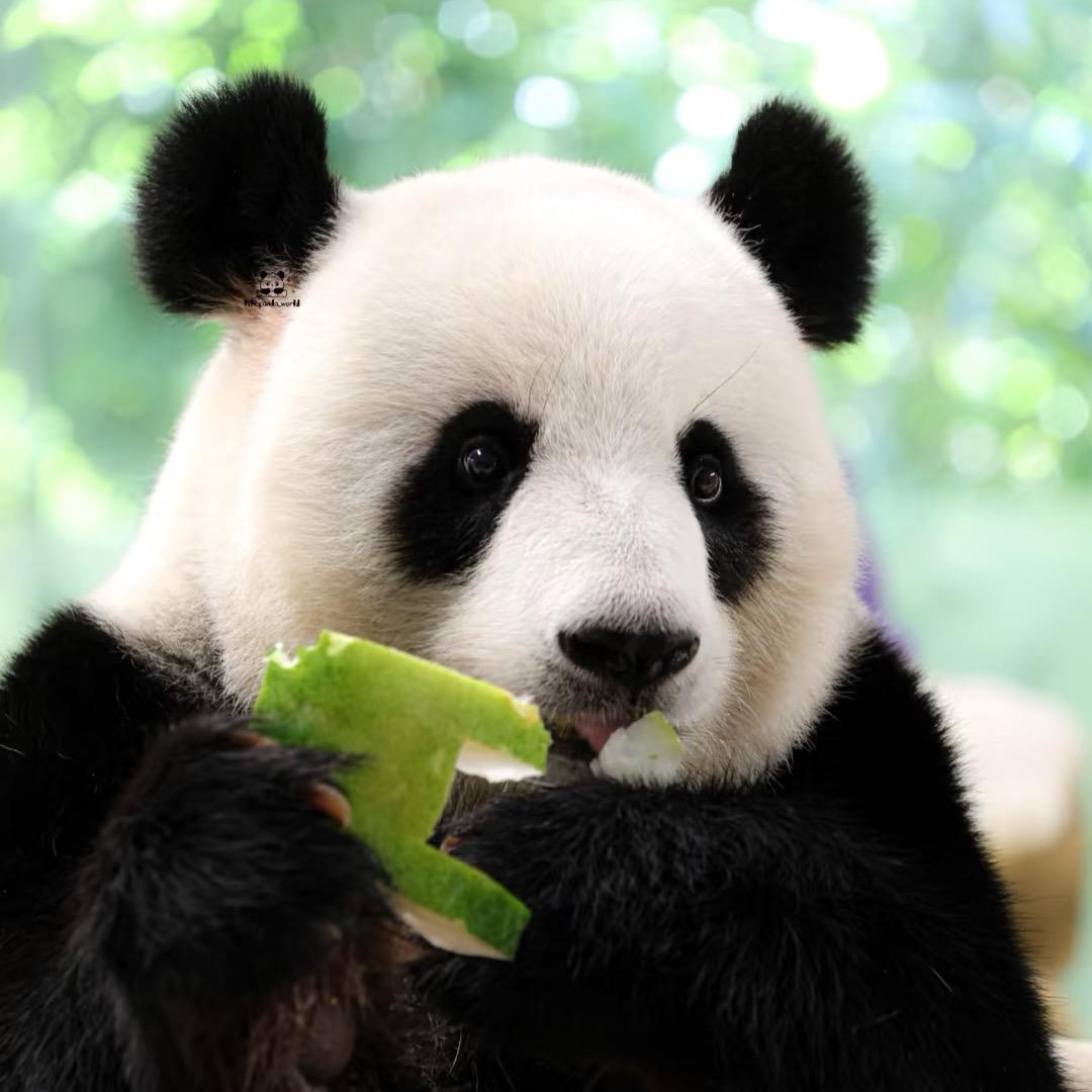 紫清湖线上福利团购