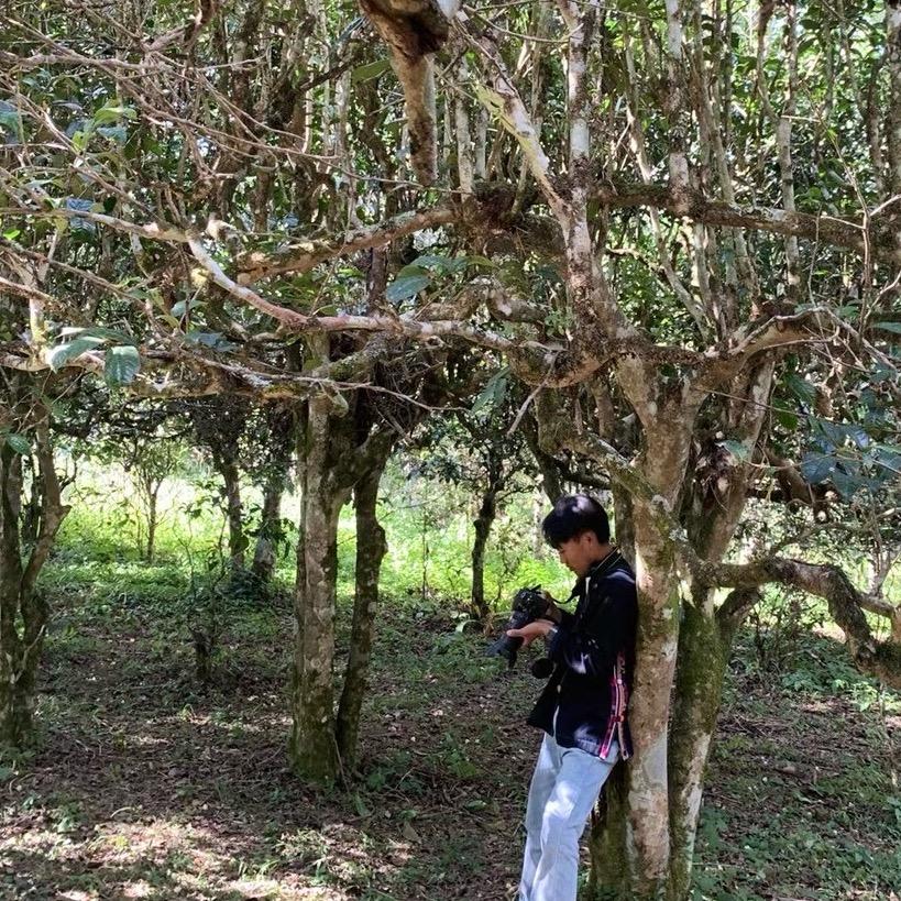 茶山里古茶坊 🦏