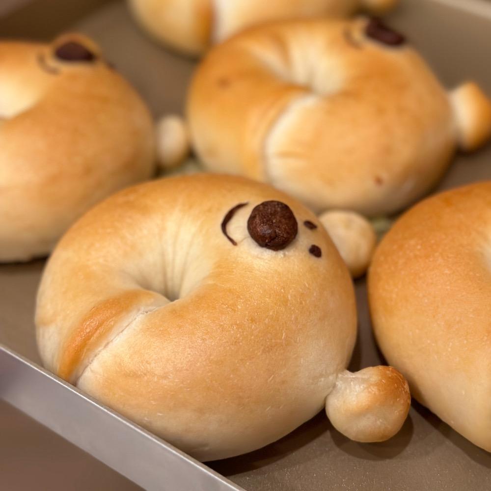 贝果的贝🥯