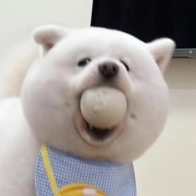 小熊蜂蜜罐