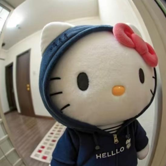 冬鹅