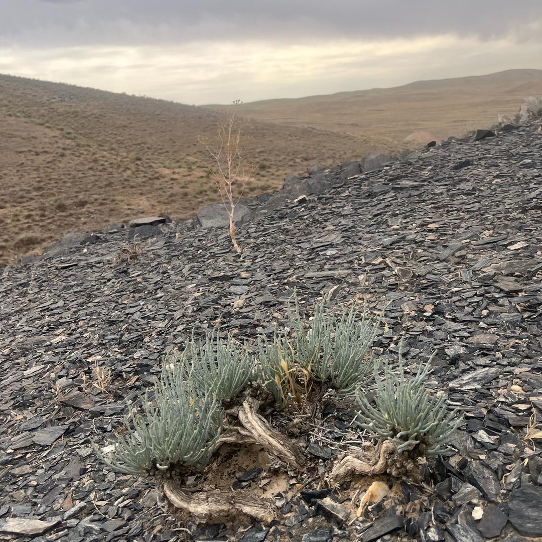 磊哥看世界＆L e o