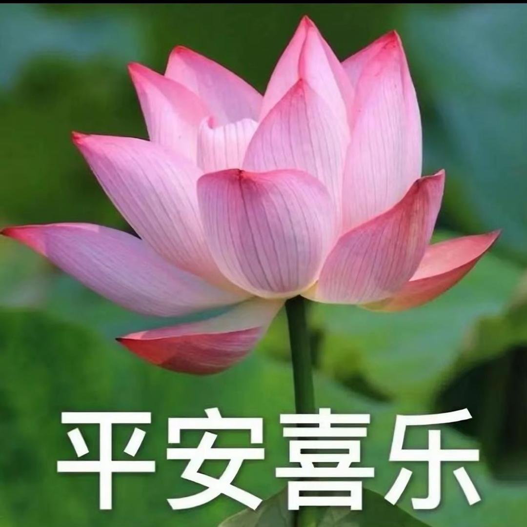 劓穫穫劓