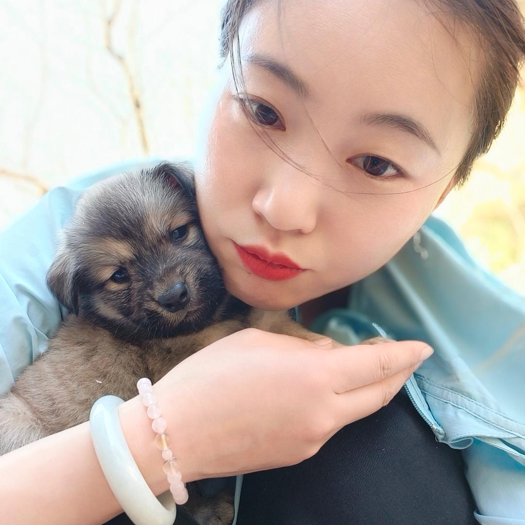 花花的二狗世界