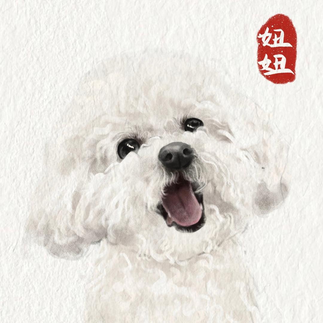波语妞动📺