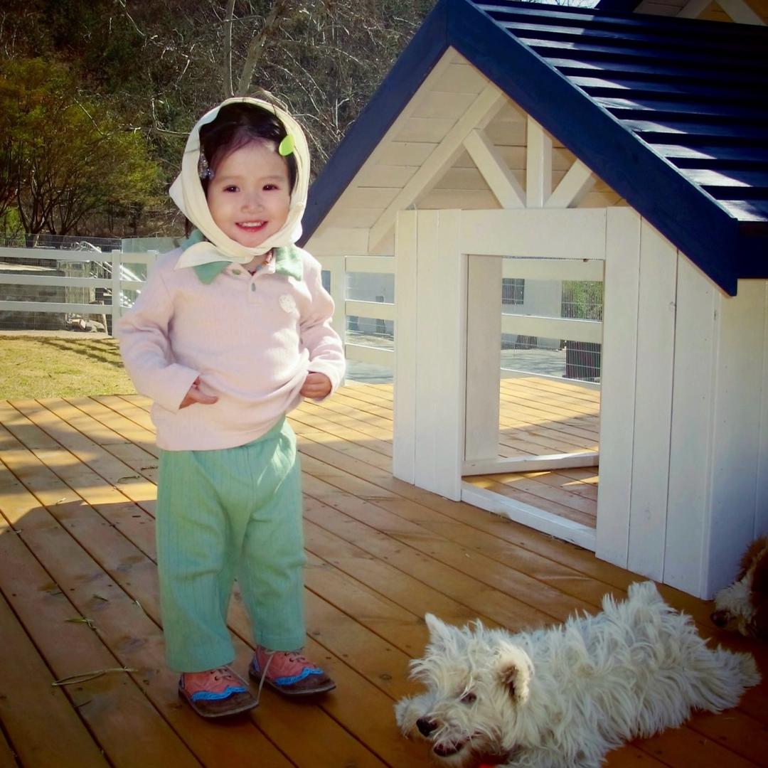 山东双鼎钢铁：