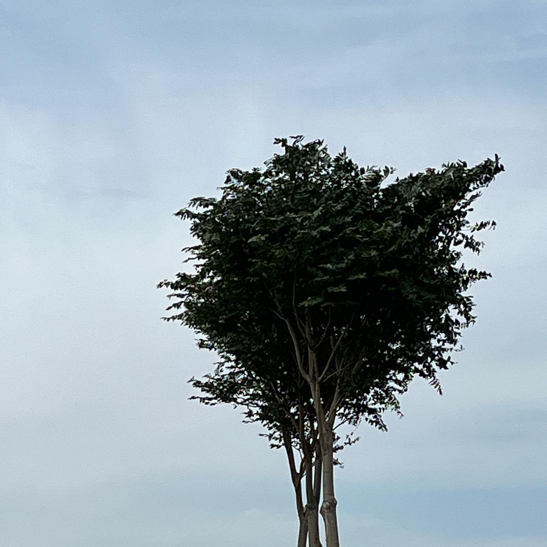 @小朱的河南农货