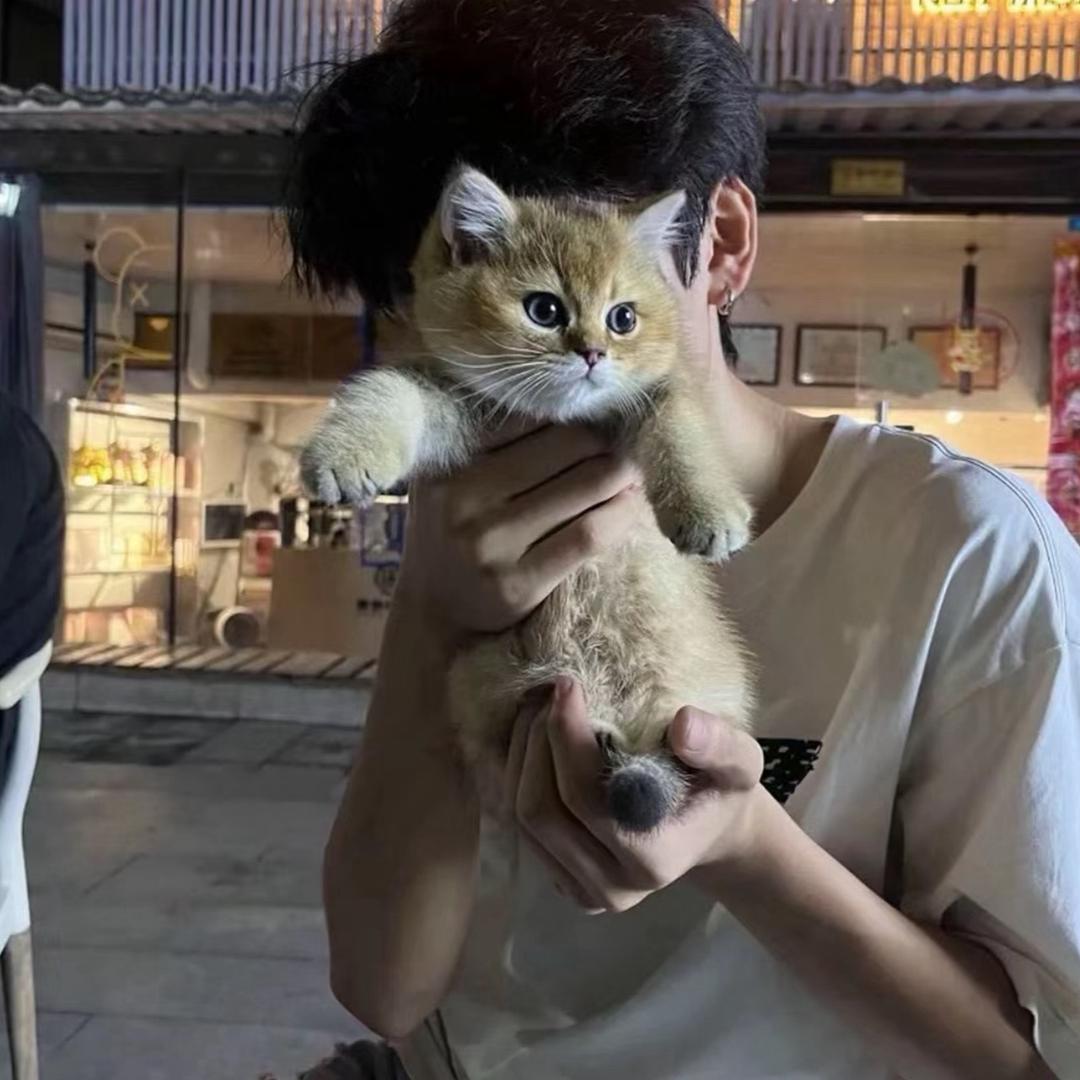 南风北巷