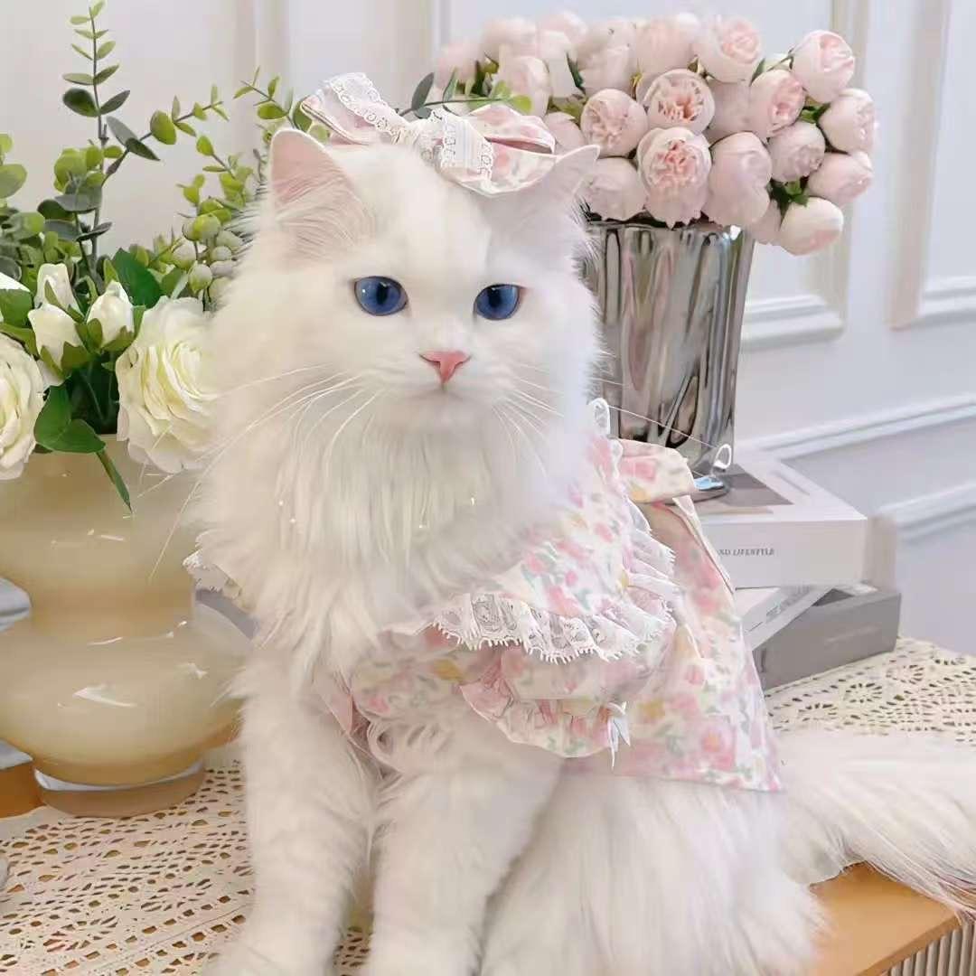 发财小美