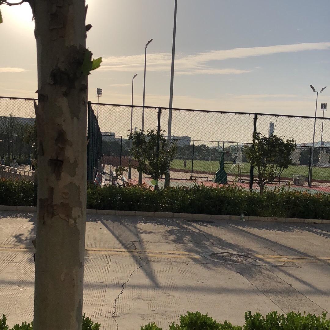 一个总想装睡的人