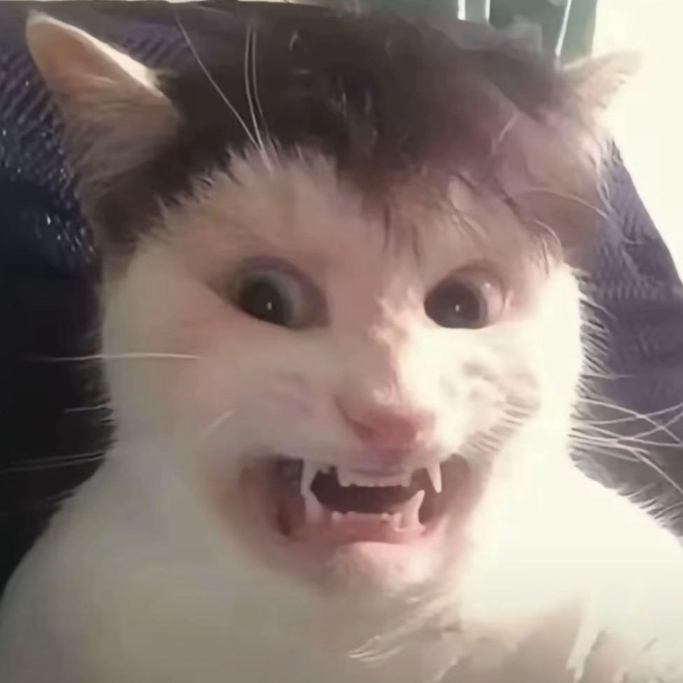正康