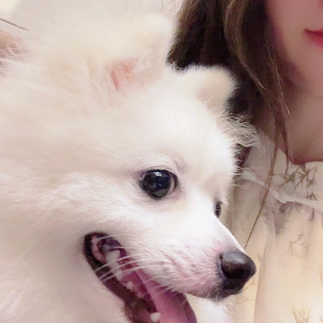 三