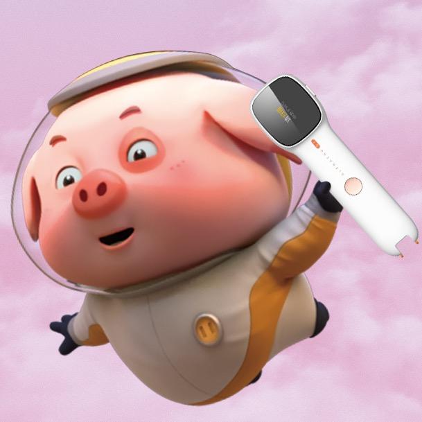 探探猫和豆豆猪@抖音