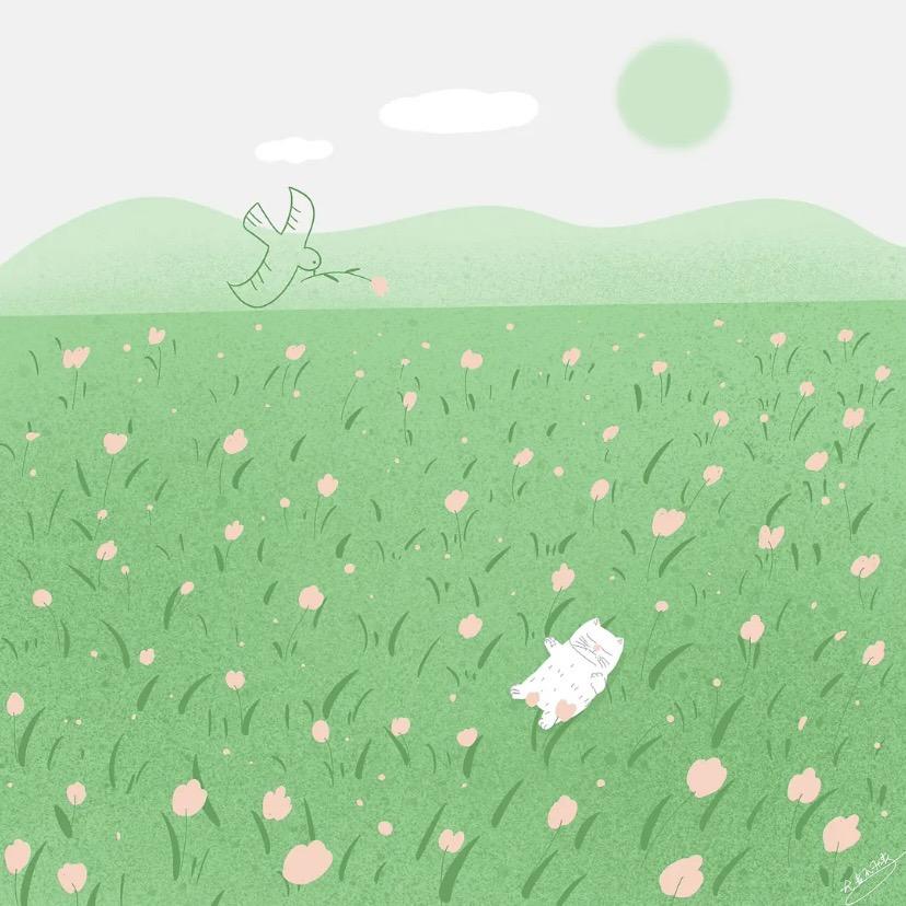 小山猪🍃