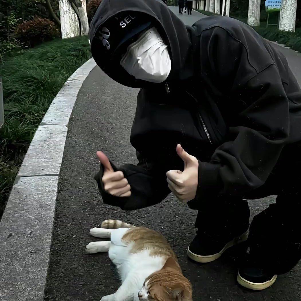 胖胖