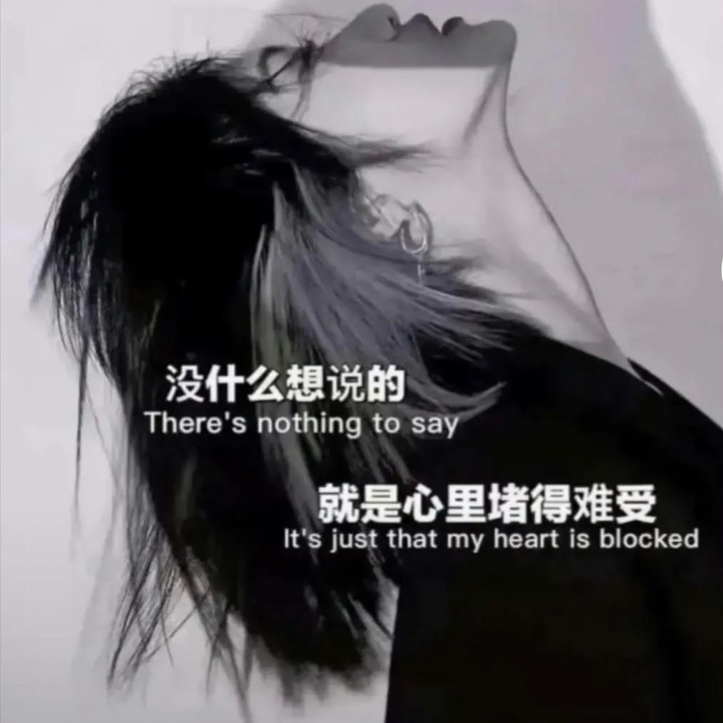 姐是仙人掌🌵别碰🌵请勿连赞