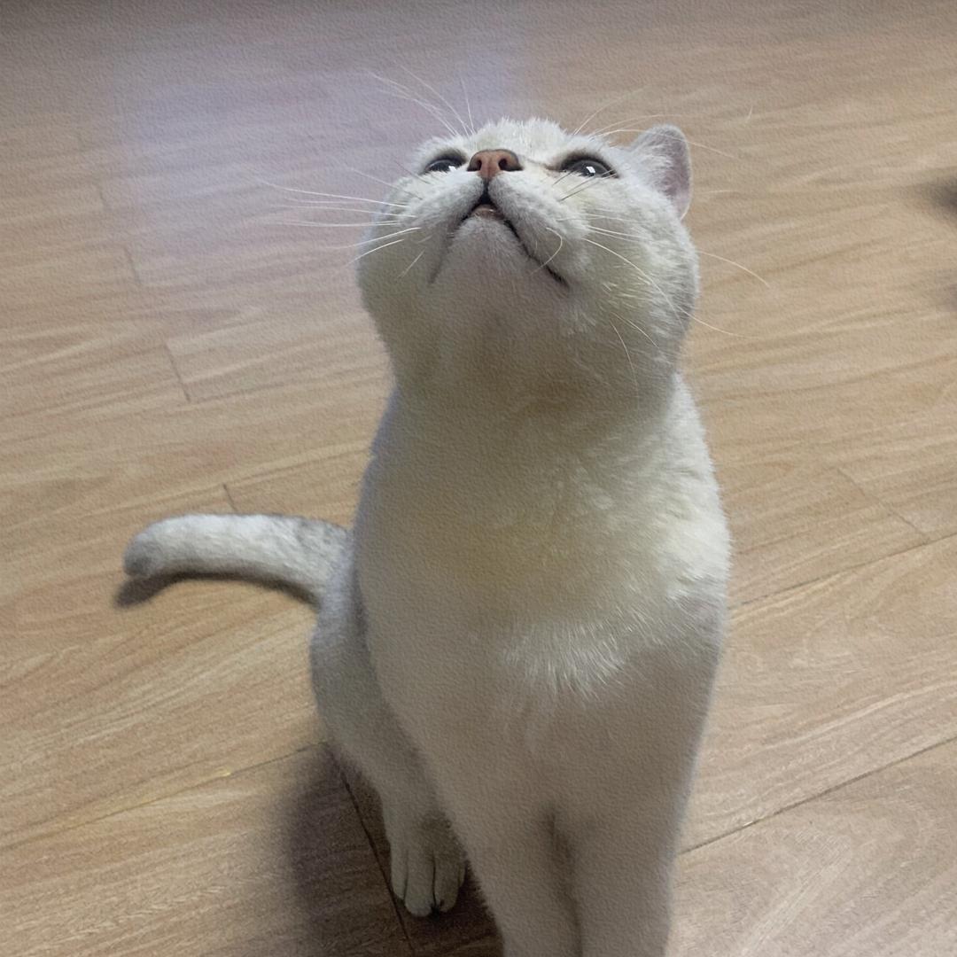 李秀芬