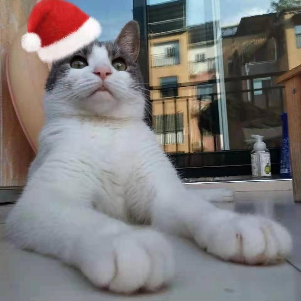 如果思念有声音.