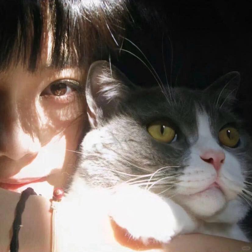 不想长黑眼圈🐾₊⁺