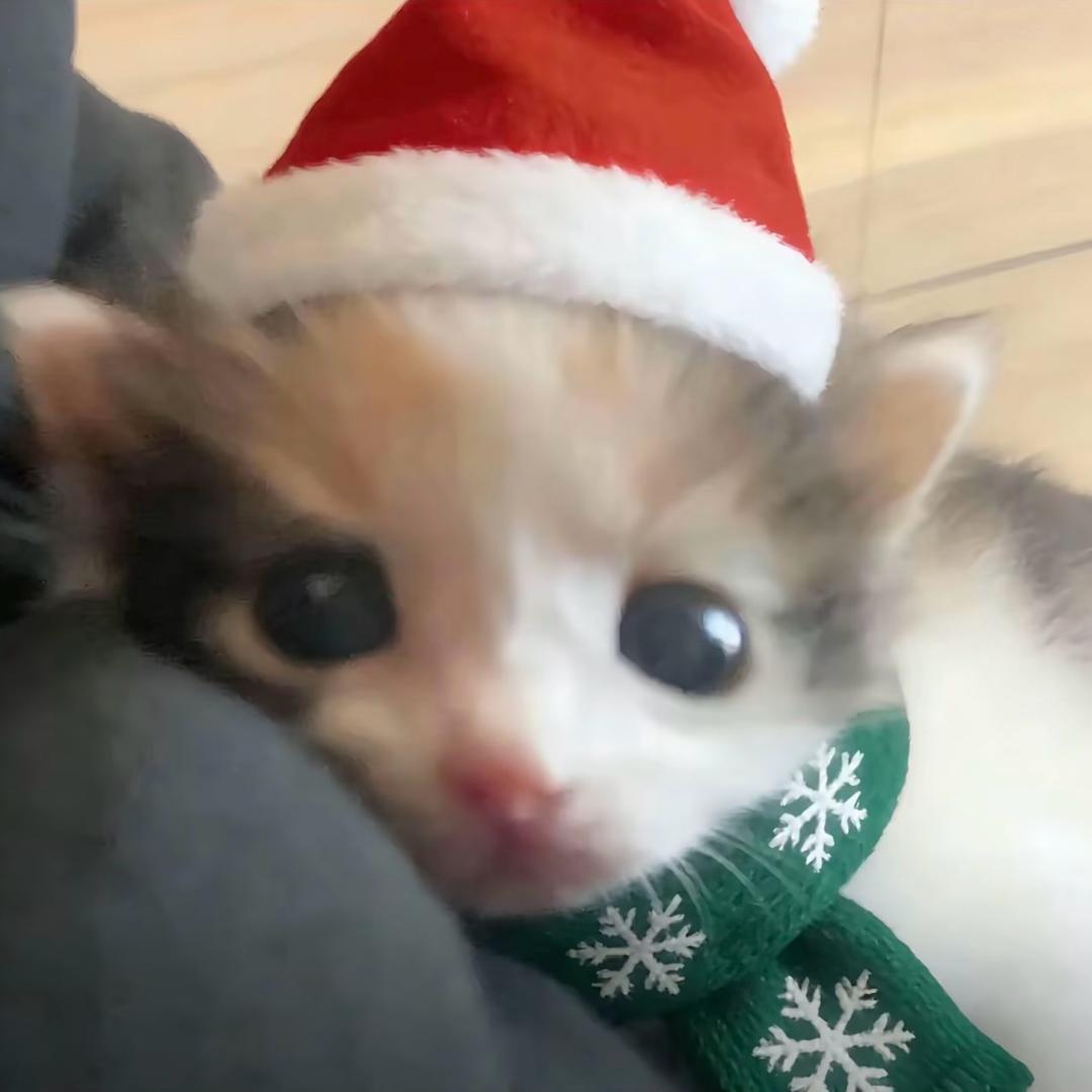 我想听^