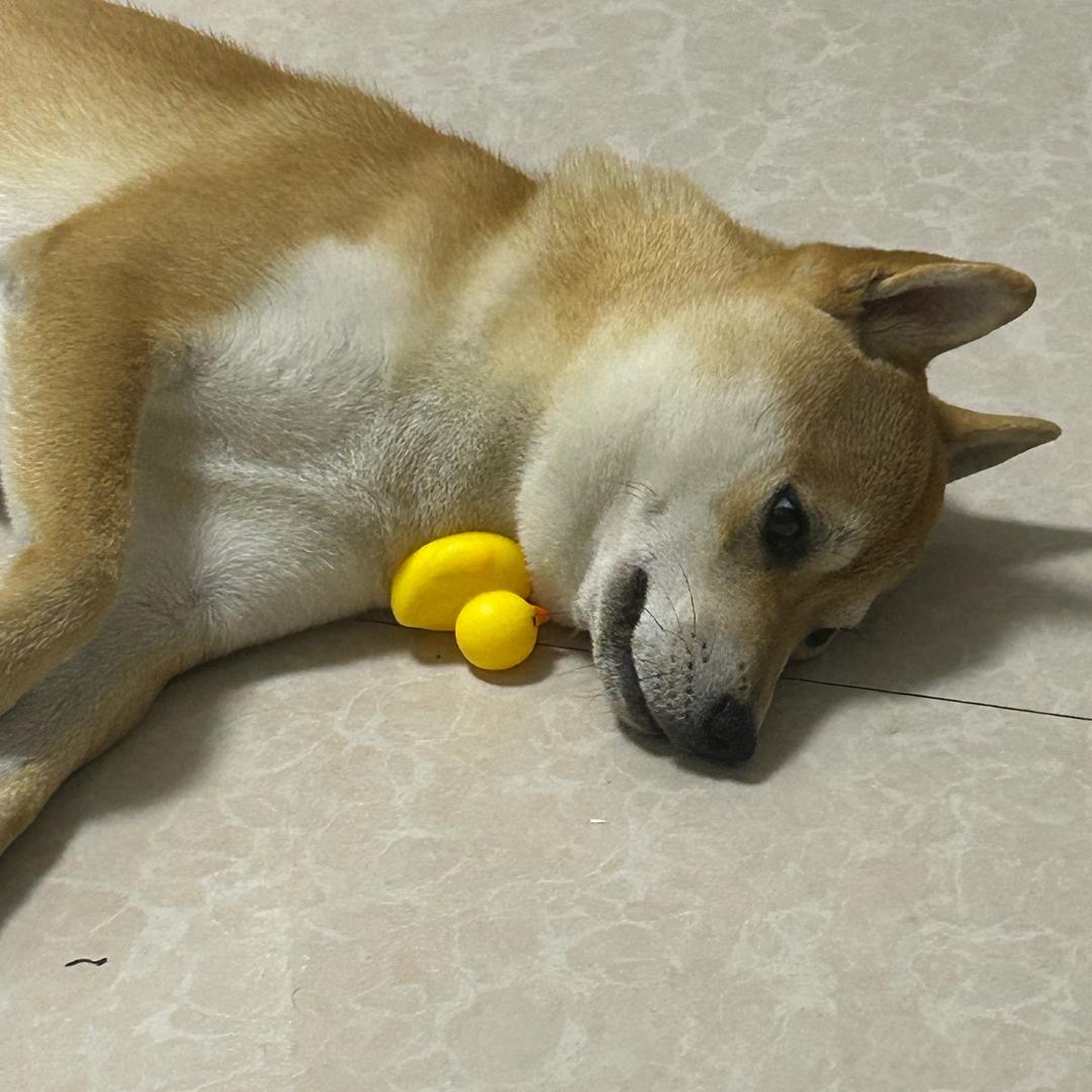 周尖尖