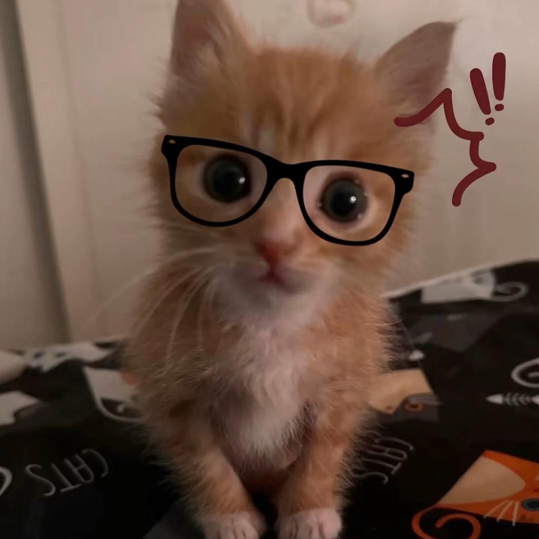 珊珊^
