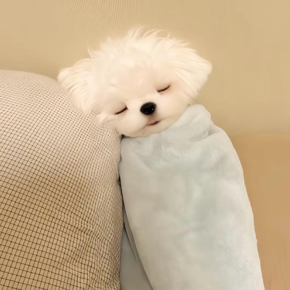 纯吧你^