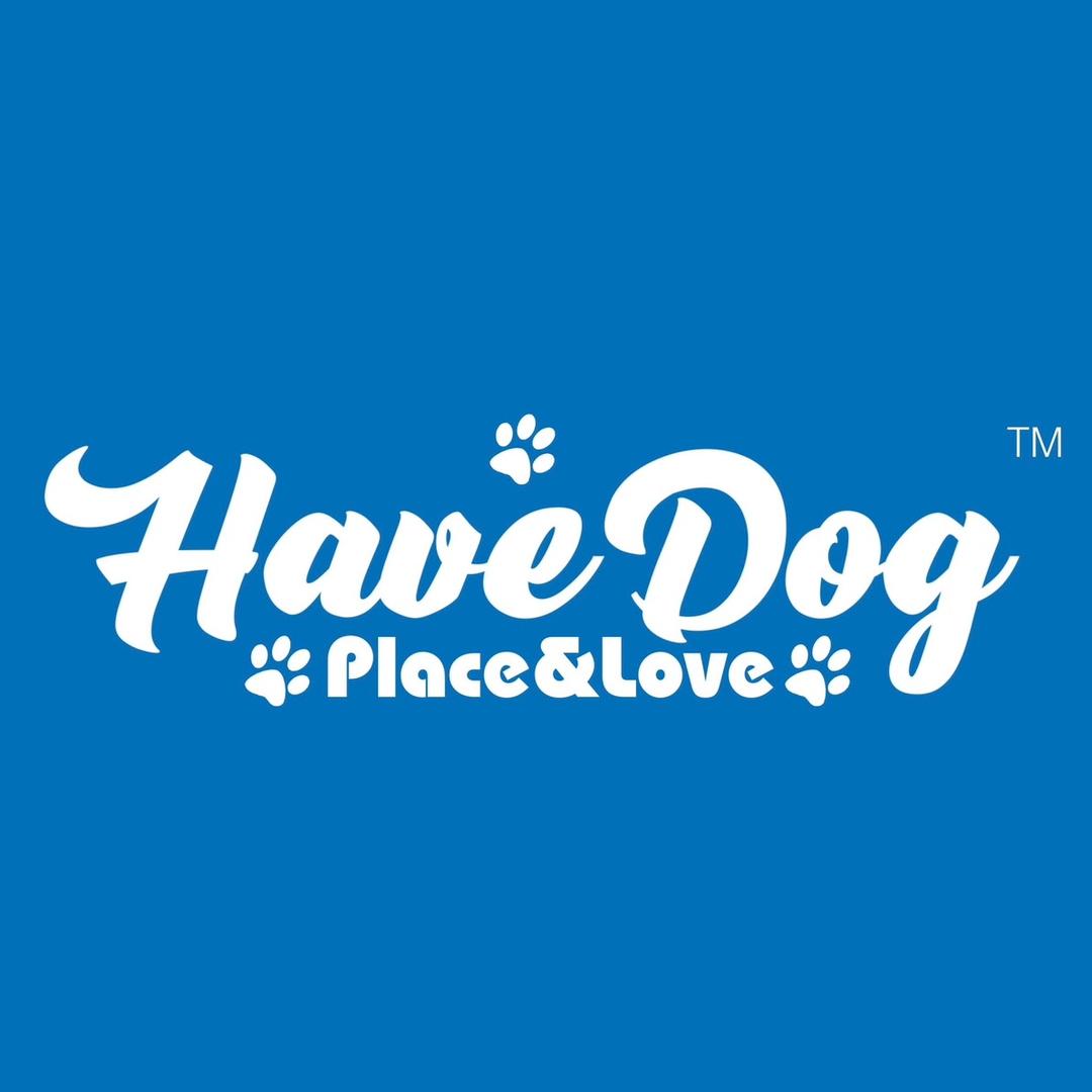 HaveDog萌宠俱乐部