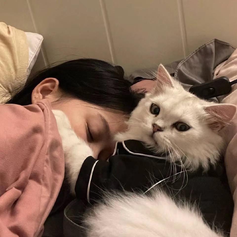 @该睡觉了