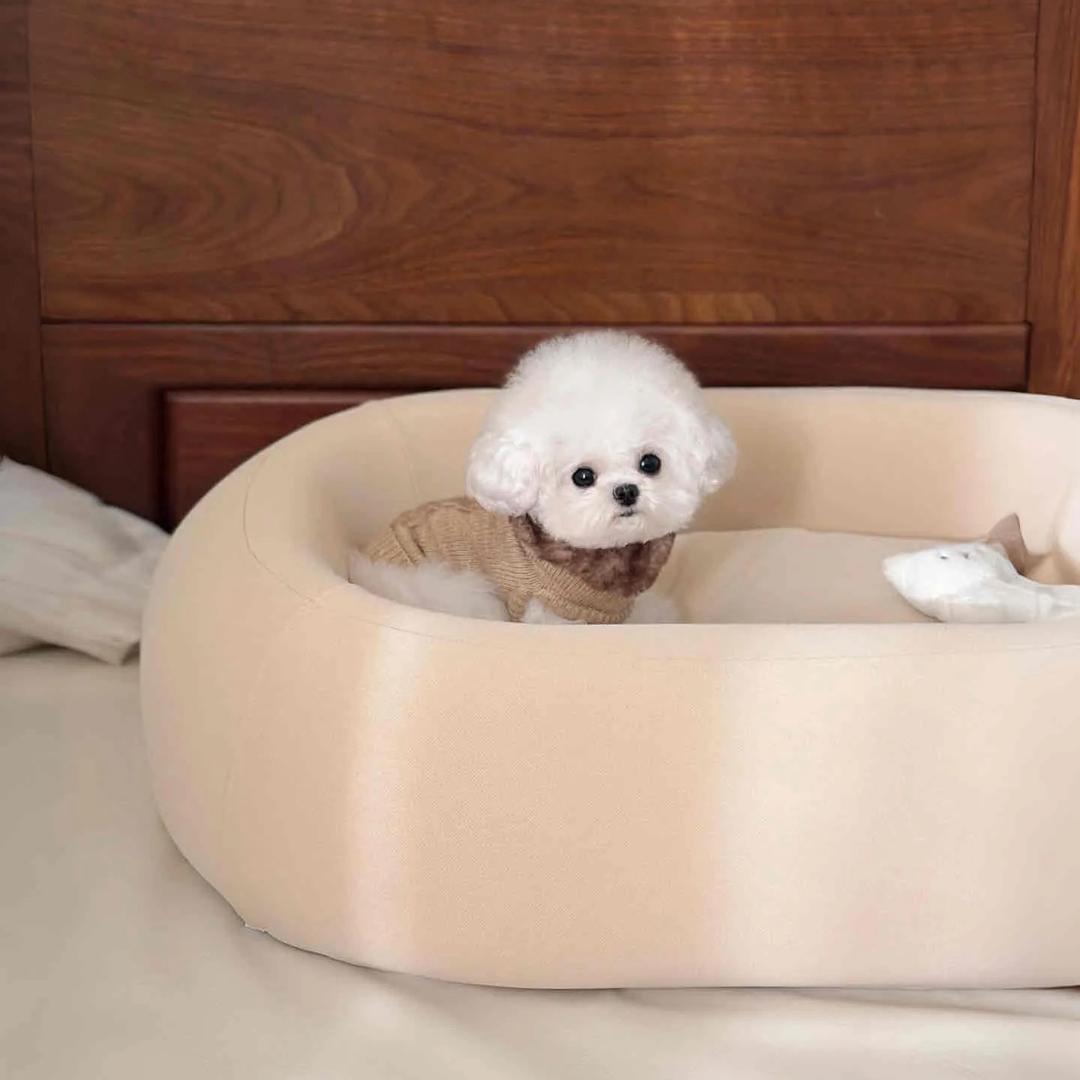 郑州阿辉高端犬舍