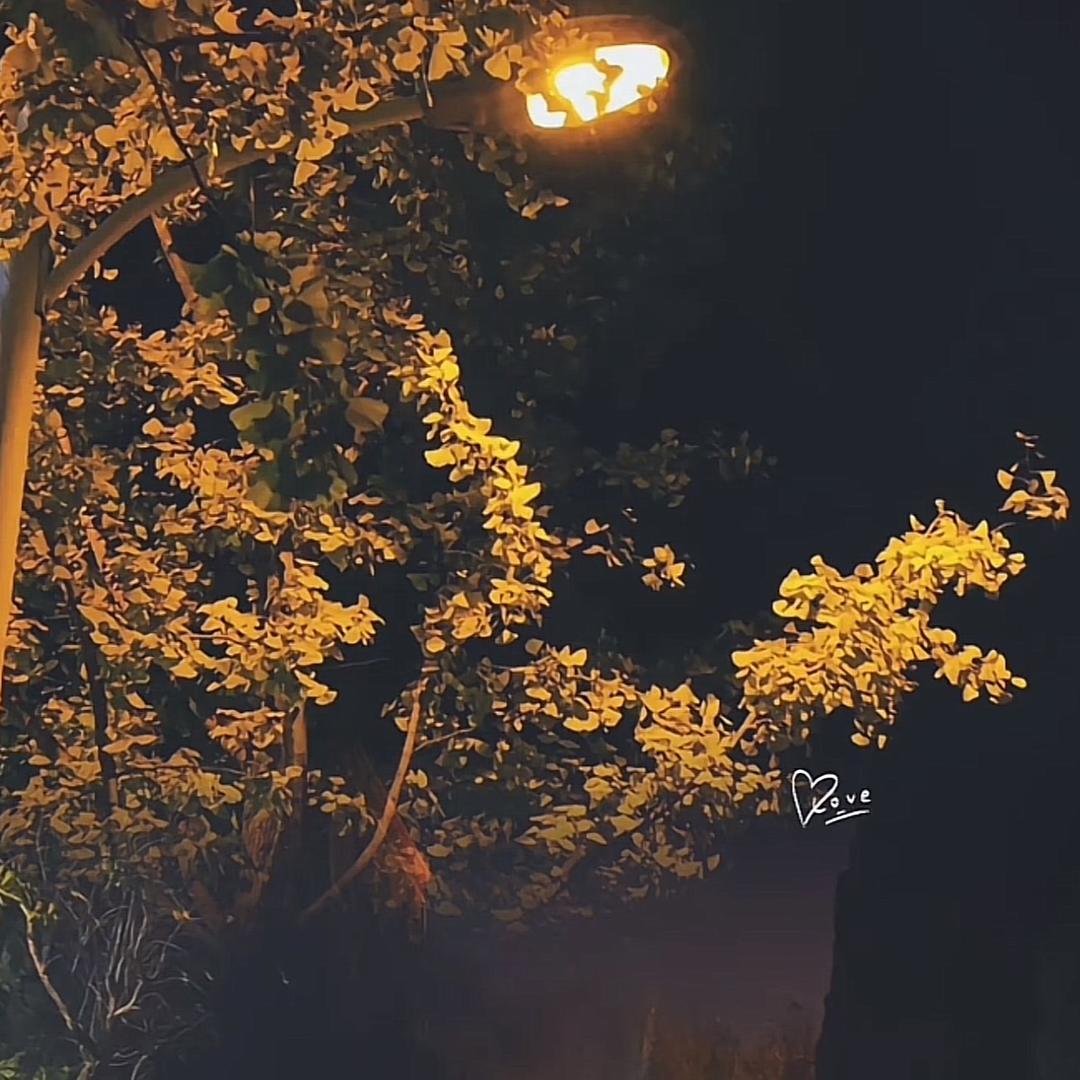 ಢ᭄幸运᪄ᩏᩘ相随ঞ᭄༊