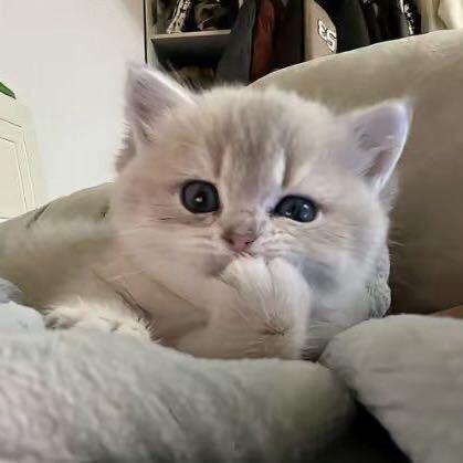 凌晨四点（实习版）