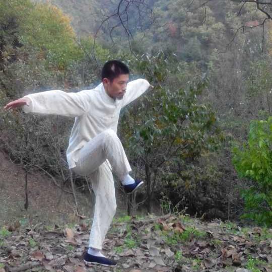 终南山理臻