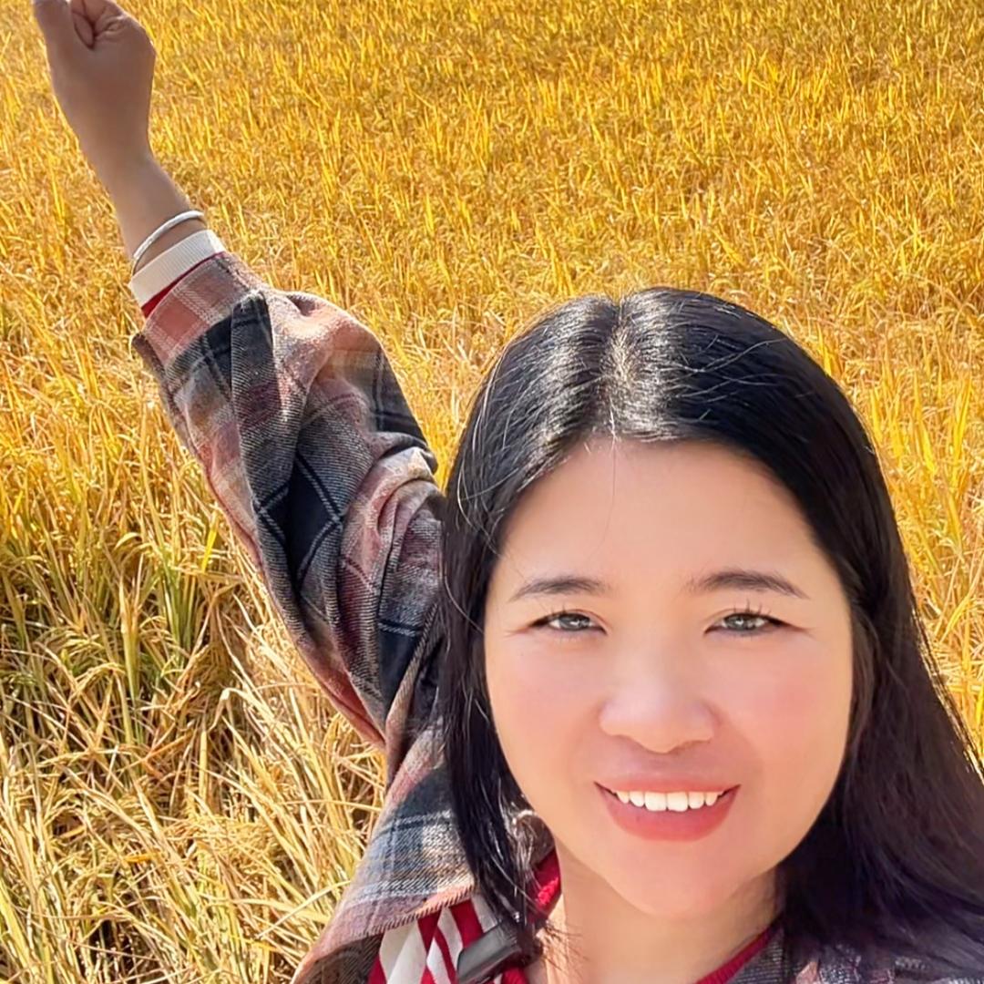 米诺🇨🇳来了