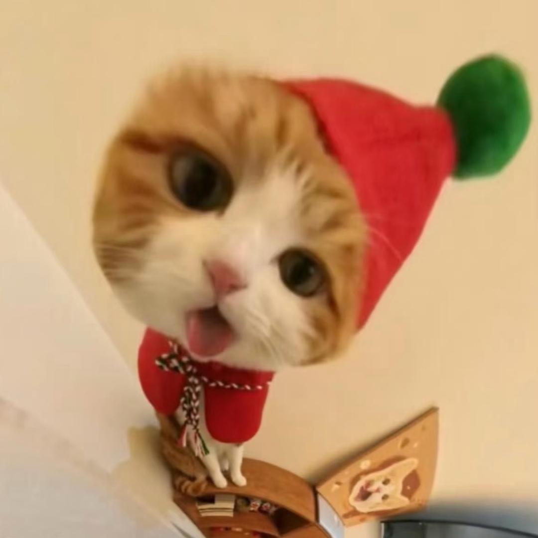 有贝才