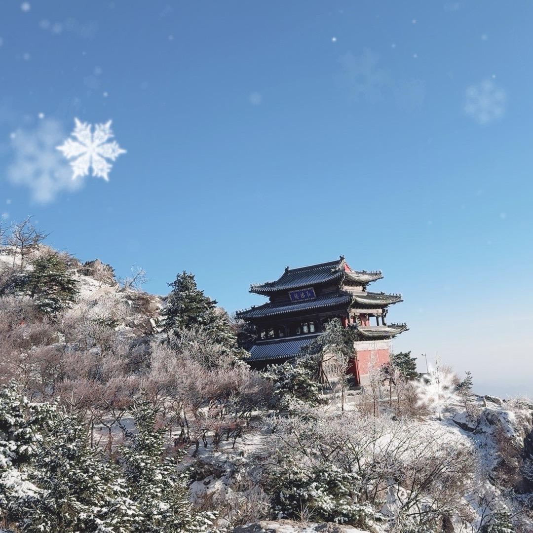 天成国旅（威海品质游）