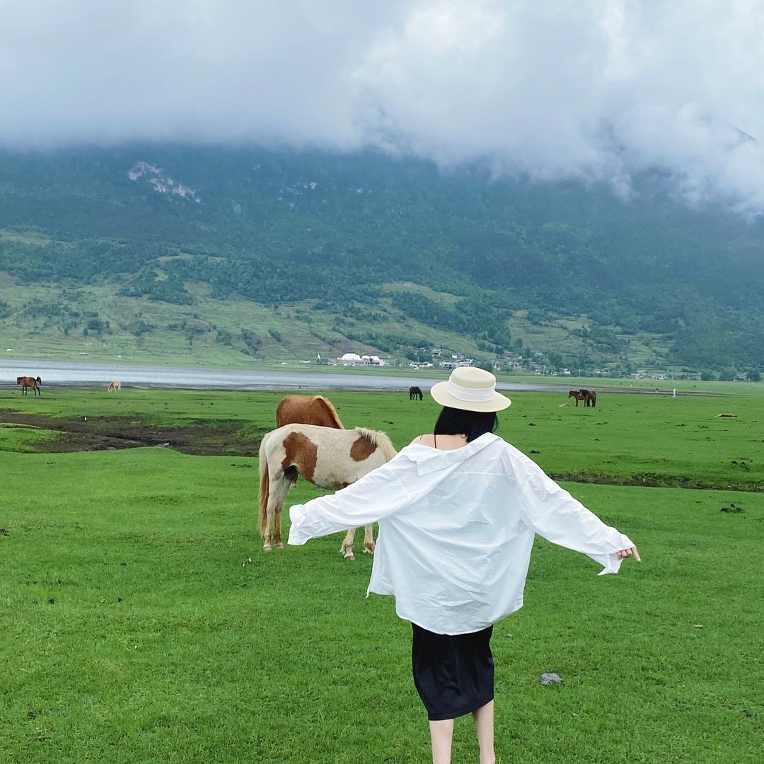 番茄你个西红柿