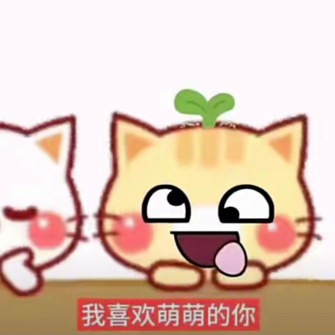 属性全点了懒