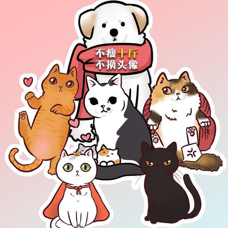 莱米家有很多喵🐱